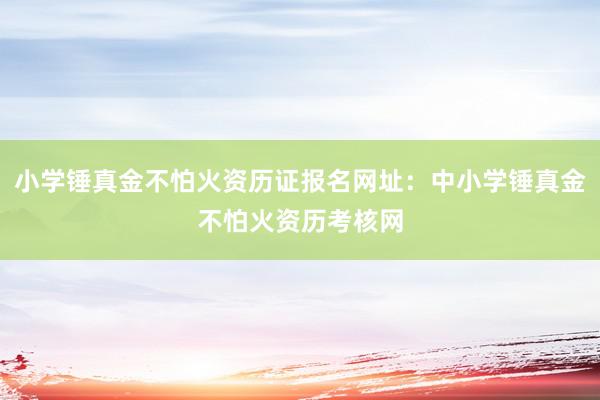 小学锤真金不怕火资历证报名网址：中小学锤真金不怕火资历考核网