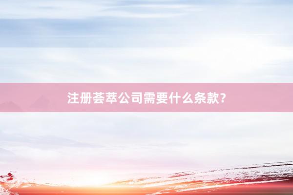 注册荟萃公司需要什么条款？