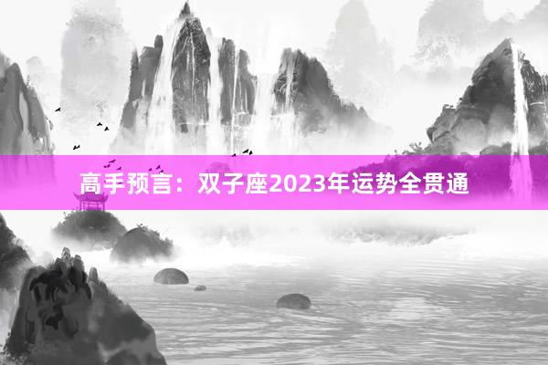 高手预言：双子座2023年运势全贯通